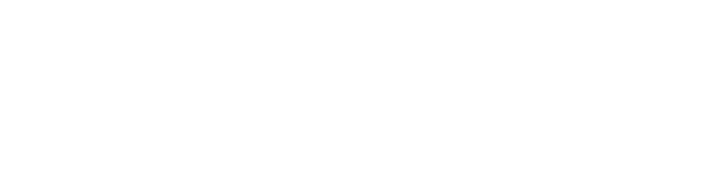 Blueprintt