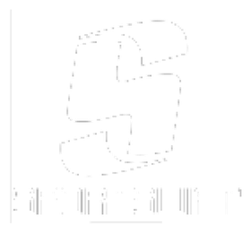 Sport Swift